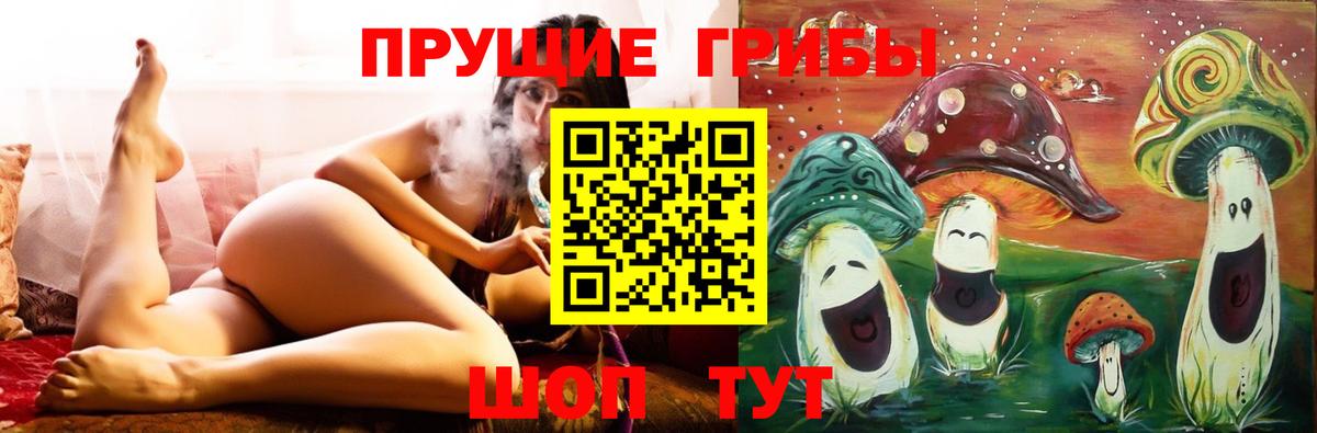 Псилоцибиновые грибы прущие грибы  Вход с VPN  Элиста  Псилоцибиновые грибы Psilocybine cubensis 